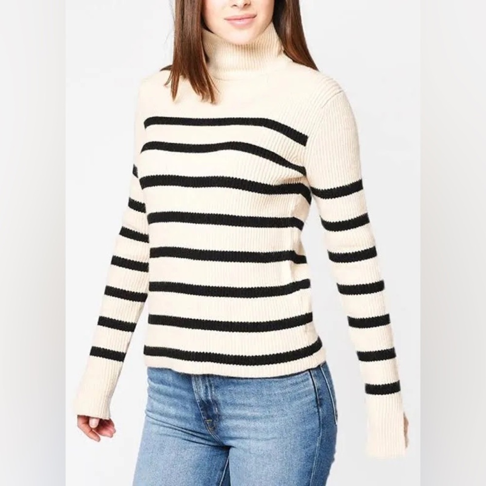 English‎ Factory Striped Turtleneck Sweater